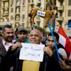 대통령과 함께 사진을.-2월 4일 "무바라크 축출의 날"에 모인 민주화 시위대가 무바라크를 당나귀에 비유하며 조롱하고 있다.
