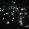 -4월 13일 오후 서울시청 앞에서 열린 세월호 참사 10주기 <4.16기억문화제>에서 참가자들이 핸드폰 불빛으로 어두운 밤을 밝히고 있다.